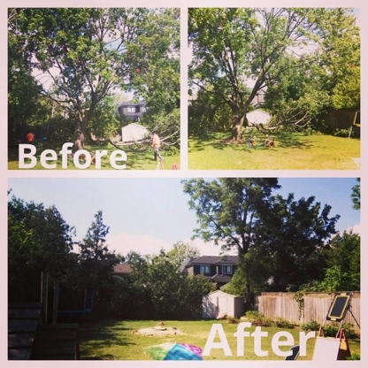 K P Tree Services - Tree Service