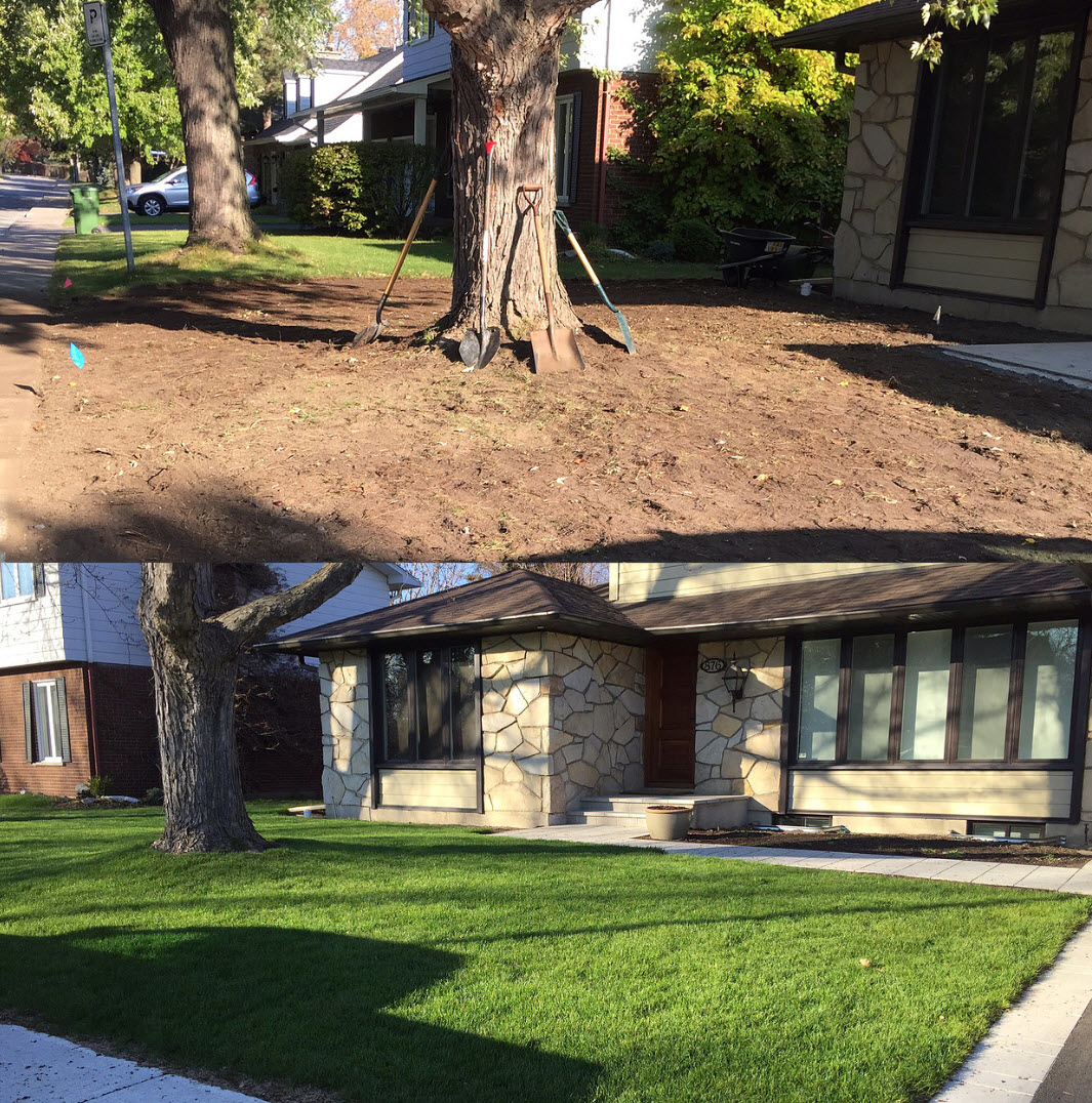 Multi-Services Elite inc. - Lawn Maintenance