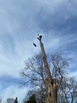 Grey's Tree Service - Service d'entretien d'arbres