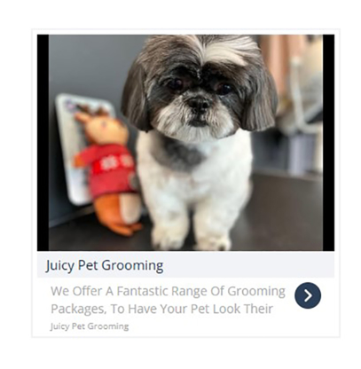 Juicy Pet Grooming & Design - Toilettage et tonte d'animaux domestiques