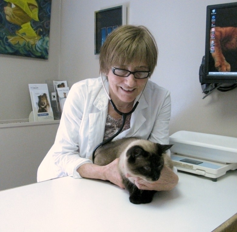 View The Cat Clinic’s Dundas profile