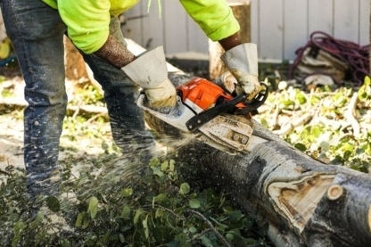 Sturgeon Valley Tree Service - Tree Service