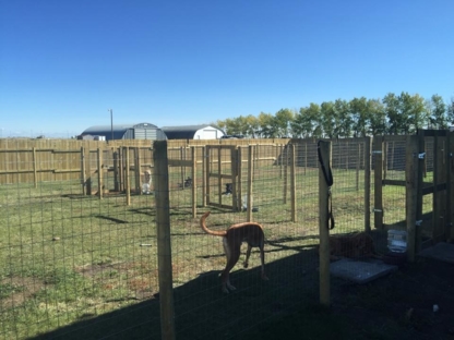 Vacation Kennels N Doggy Daycare - Kennels