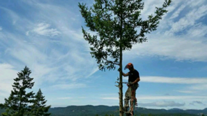 Blue Collar Tree Work - Service d'entretien d'arbres