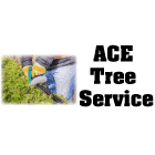 ACE Tree Service - Tree Service
