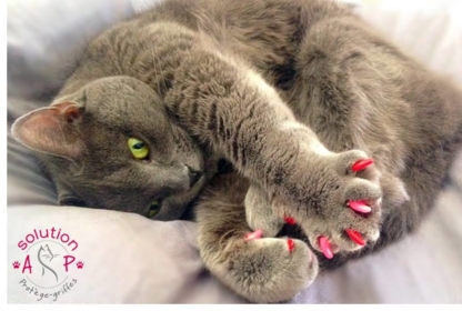 Solution Protège-Griffes AP - Services pour animaux de compagnie