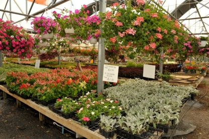 Nesbitt's Greenhouses - Service et vente de serres