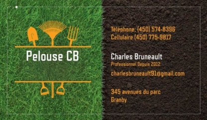 Pelouse CB - Lawn Maintenance