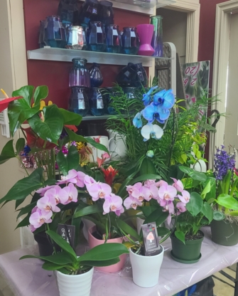 K-W Flowers - Florists & Flower Shops