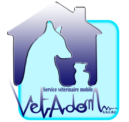 Vetadom - Vétérinaire à domicile - Vétérinaires