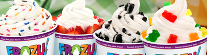 Frozu - Ice Cream & Frozen Dessert Stores