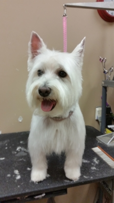 Cutting Edge Grooming & K9 Oral Hygiene - Pet Grooming, Clipping & Washing