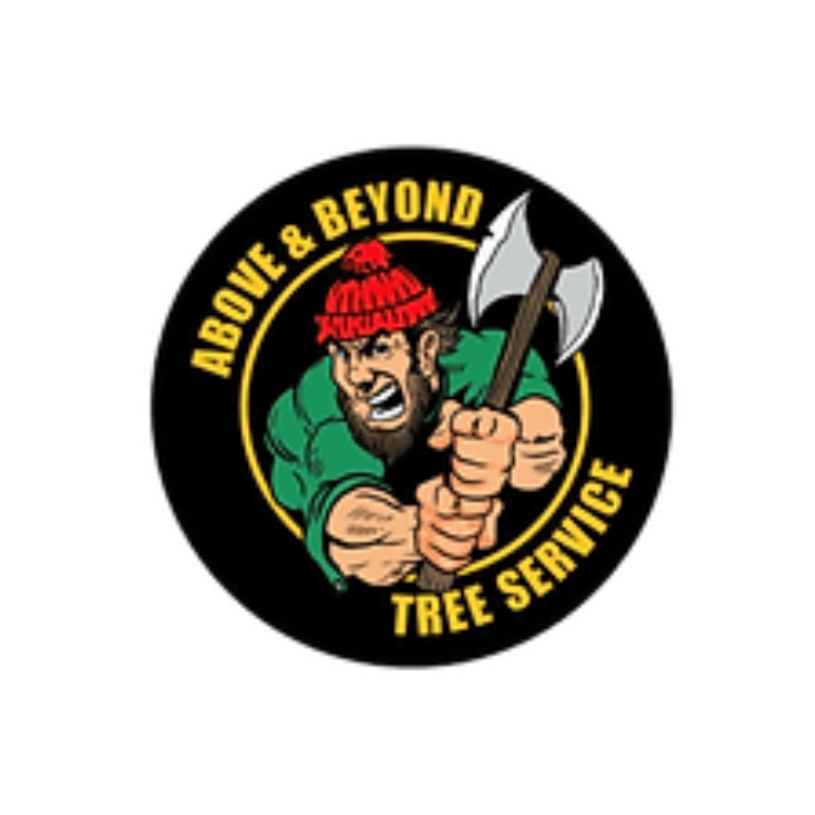 Above & Beyond Tree Service - Tree Service