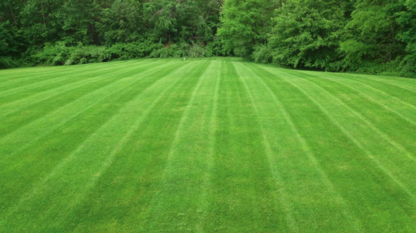 Blade Works Yard Care - Lawn Maintenance