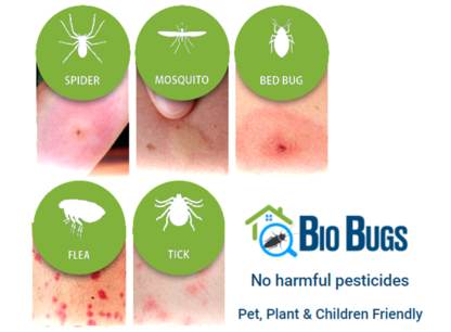 Bio Bugs - Extermination et fumigation