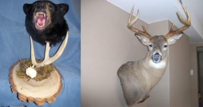 View Jr's Taxidermy’s Vaughan profile