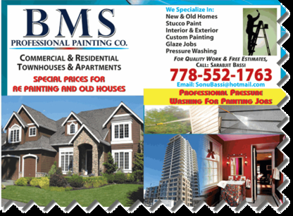 BMS Professional Painting Co - Janitorial Service