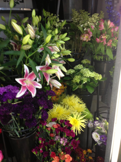 Voir le profil de Janet's Flowers Ltd - Upper Sackville