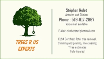 Trees R Us Expert - Tree Service