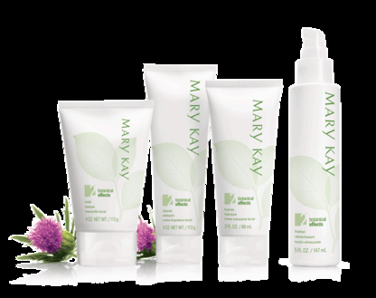 Carolyn Parker - Mary Kay Independent Beauty Consultant - Skin Care Products & Treatments