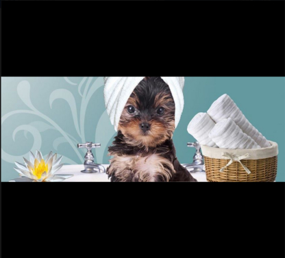 Cuts For Mutts Dog Grooming - Toilettage et tonte d'animaux domestiques