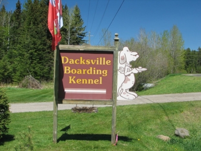 Dacksville Kennels - Chenils