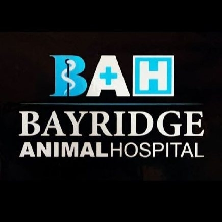 Bayridge Animal Hospital - Veterinarians