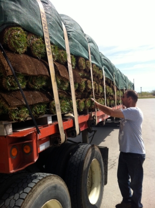 Gerbrand Sod Supply - Sod & Sodding Service