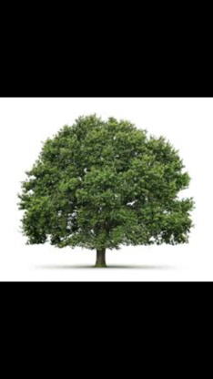 Affordable Tree Service - Paysagistes et aménagement extérieur