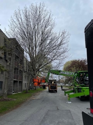 C & D Excavating and Tree Service - Sewer Contractors