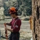 Osprey Tree Service