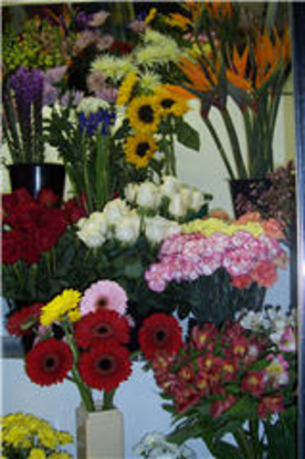 Jeannine Fleuriste - Fleuristes et magasins de fleurs
