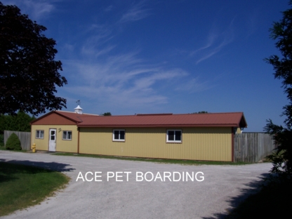 Ace Pet Boarding - Kennels