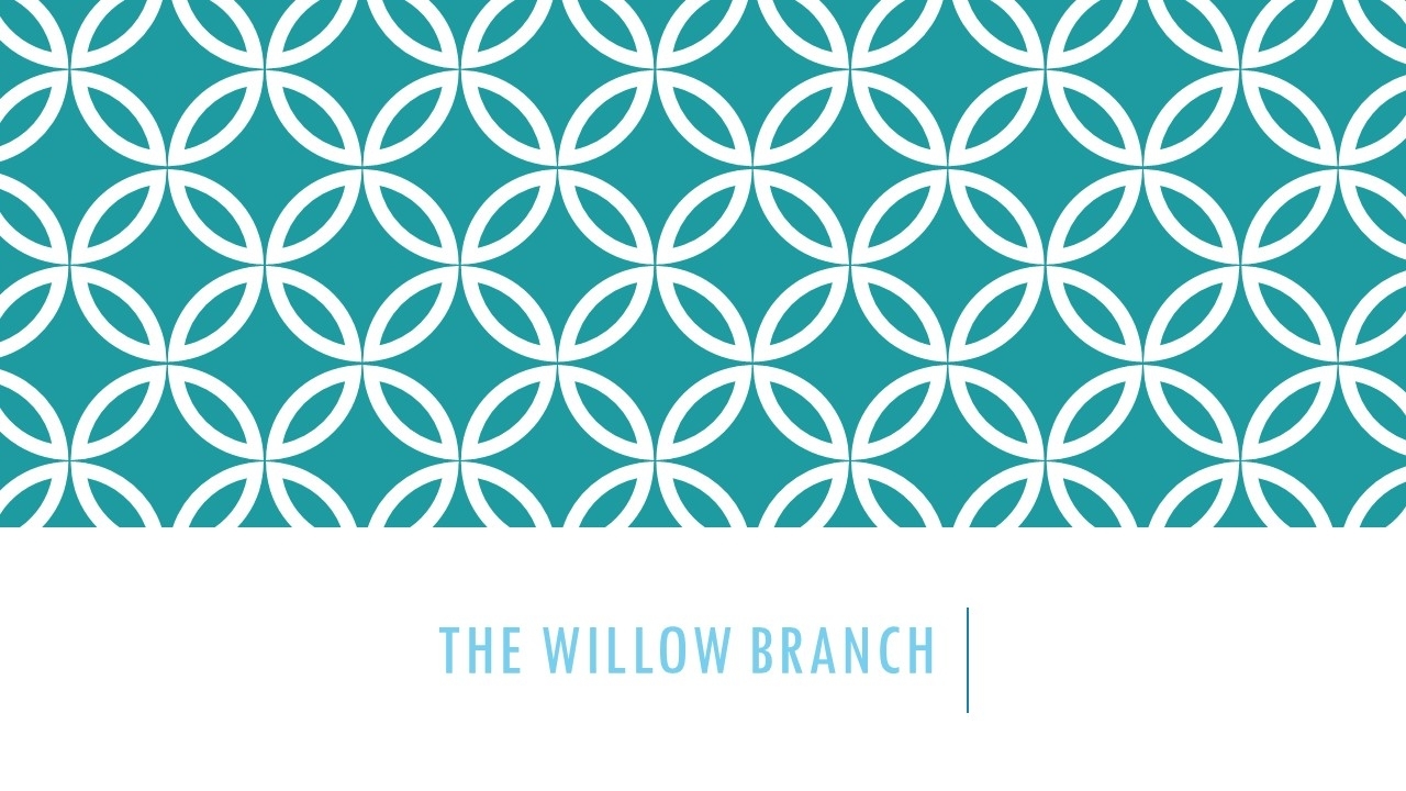 The Willow Branch - Fleuristes et magasins de fleurs