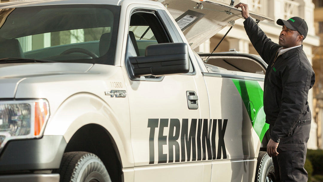 Terminix Canada - Pest Control Services