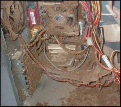 Mclean Micro - Computer Networking