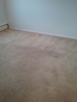Action Cleaning Solutions - Carpet & Rug Cleaning