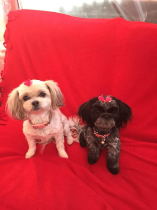 Fifty Shades Of Fur - Pet Grooming, Clipping & Washing