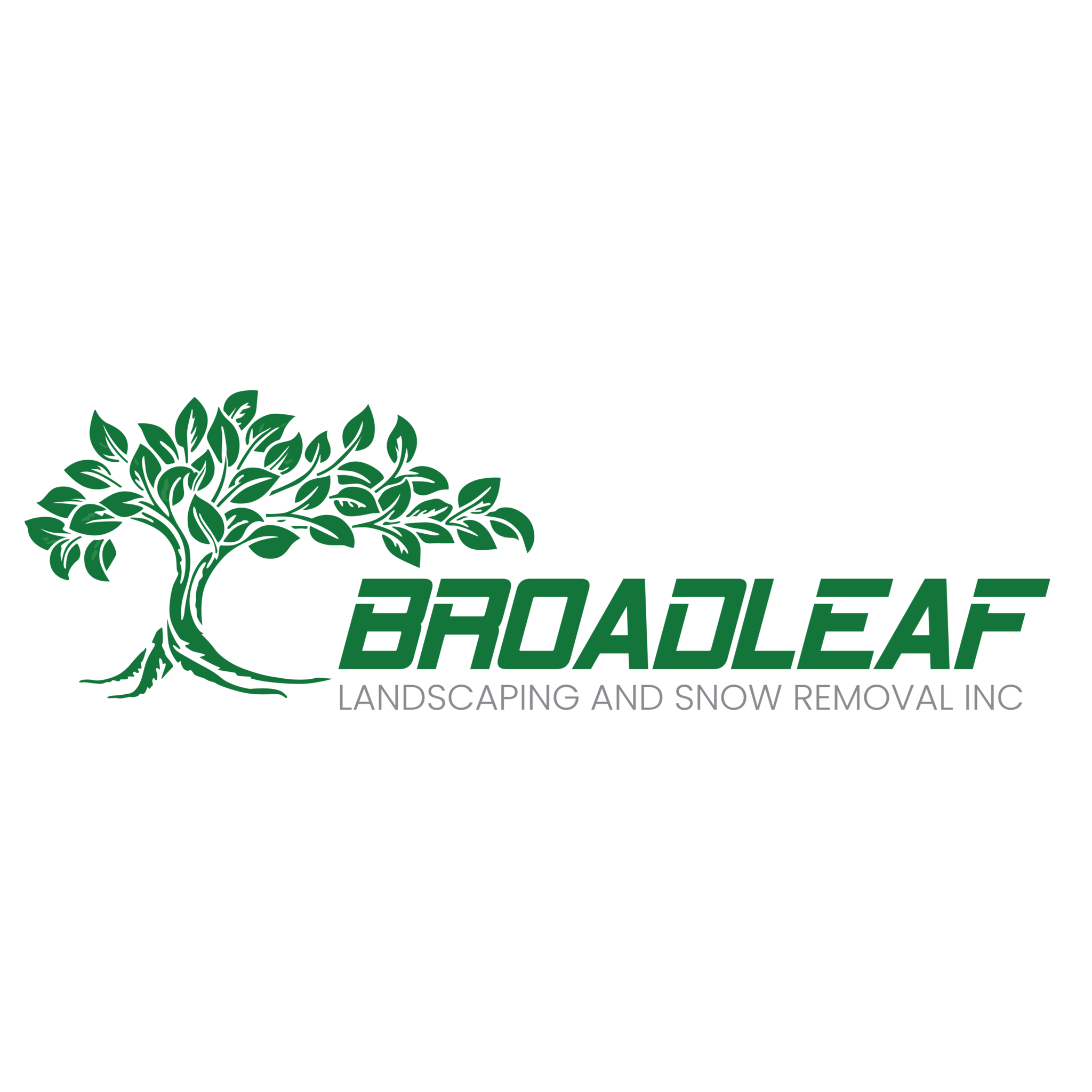 Broadleaf Landscaping and Snow Removal Inc - Paysagistes et aménagement extérieur