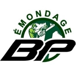 BP Émondage et Taillage de Haies Inc. - Tree Service