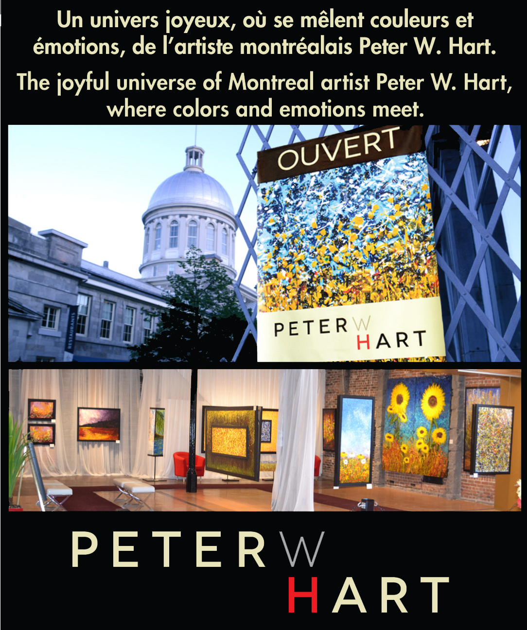 PETERwHART Gallery - Art Galleries, Dealers & Consultants