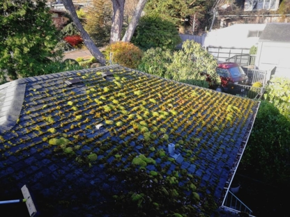 Roof Savers Canada - Nettoyage extérieur de maisons