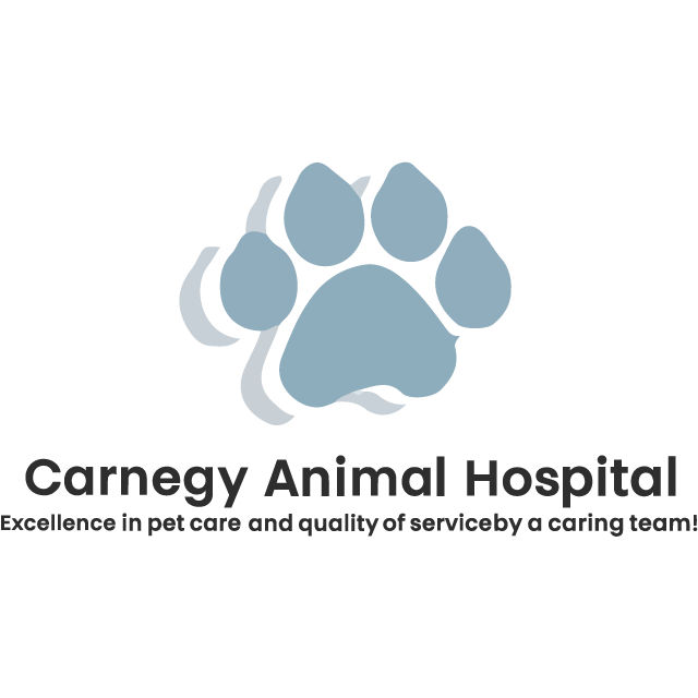 Carnegy Animal Hospital - Toilettage et tonte d'animaux domestiques