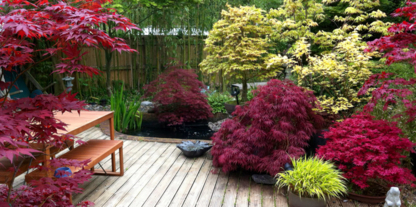 Theory Landscapes and Garden - Landscape Contractors & Designers