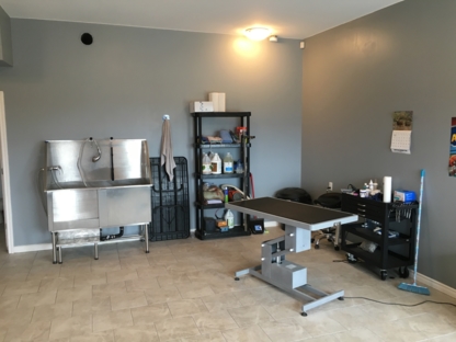 Spa For Paws Pet Grooming - Toilettage et tonte d'animaux domestiques