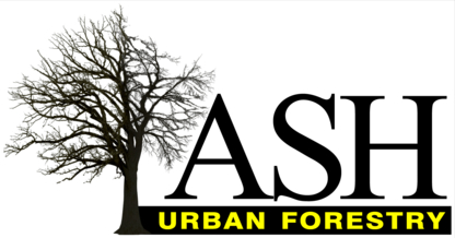 Ash Urban Forestry - Service d'entretien d'arbres
