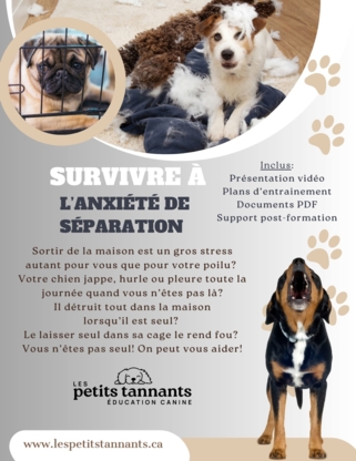 Les petits tannants - Éducation Canine - Dressage et éducation d'animaux de compagnie