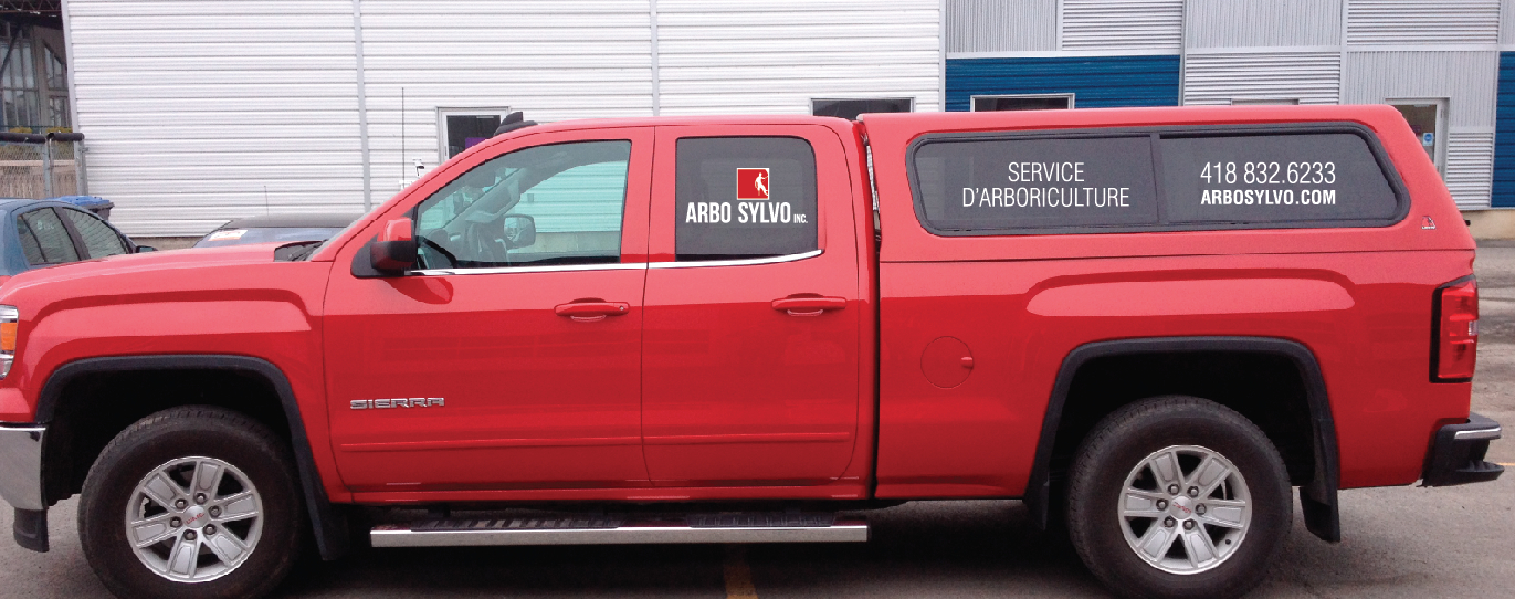 Arbo Sylvo Inc - Tree Service