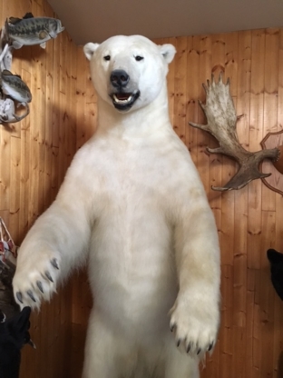 Swan Valley Taxidermy - Tanners & Tanneries