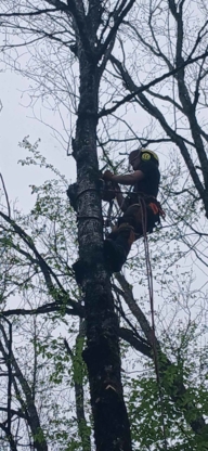 Arboriculture Lavallée - Nurseries & Tree Growers